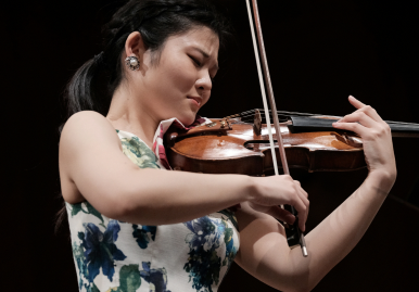 MAS performance and interpretation