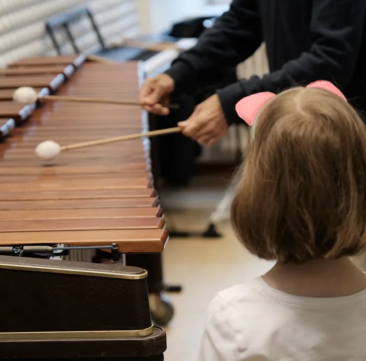 Diploma of Advanced Studies (DAS) in Instrumental/Vocal Music Pedagogy